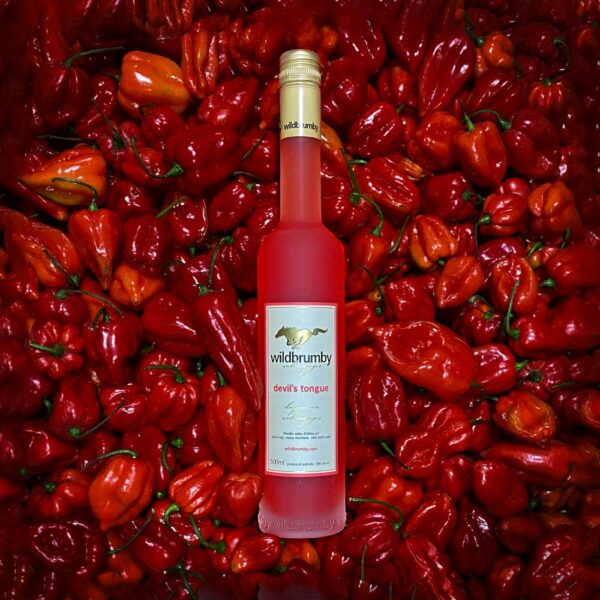 devil's tongue schnapps