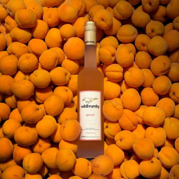 apricot schnapps
