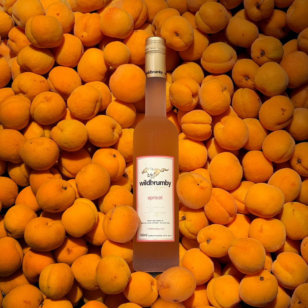 apricot schnapps