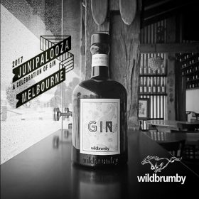 Wildbrumby Takes Spirited Journey South