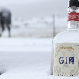 New ‘Stallion’ Gallops Through The Snowies
