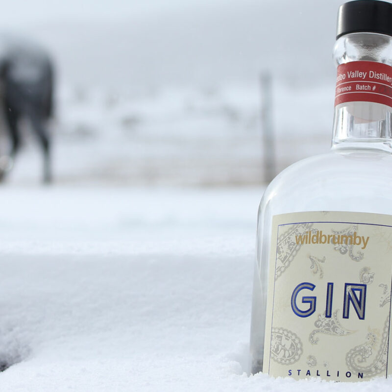 World Gin Day at Wildbrumby