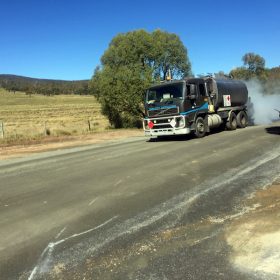 Wildbrumby takes the road to success