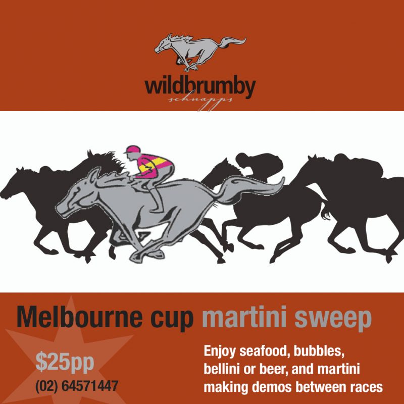 Melbourne cup martini sweep