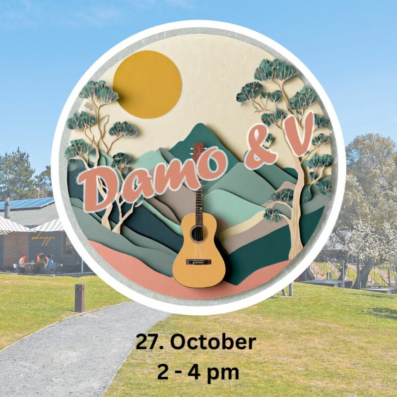 Live Music with DAMO & V