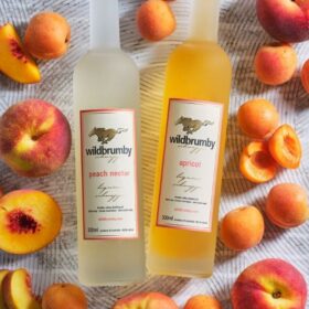 fuzzies peach and apricot schnapps