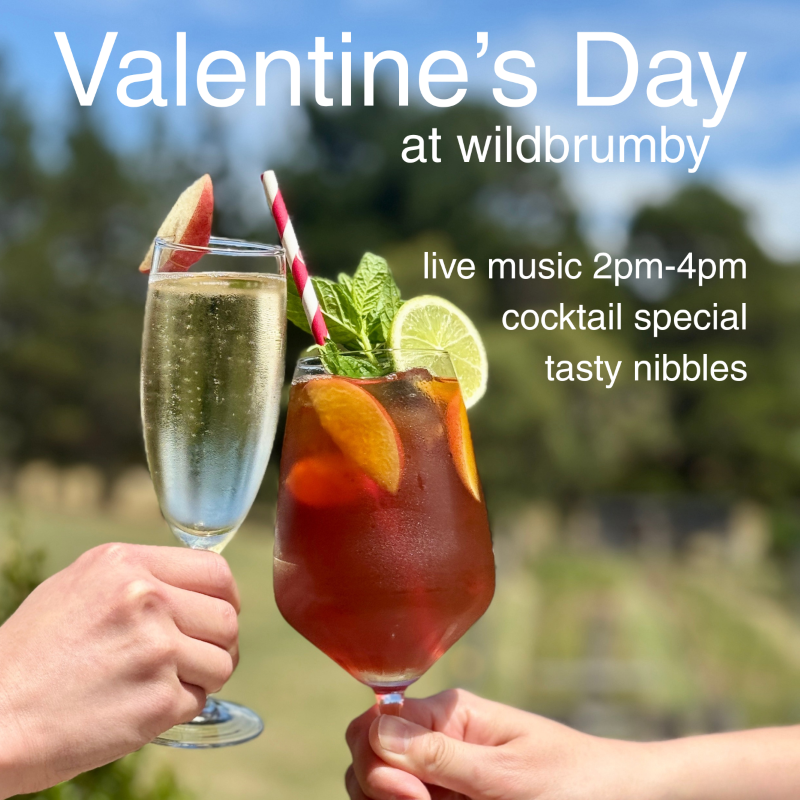 valentine's day 2026