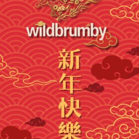 Golden Stallion Happy New Year