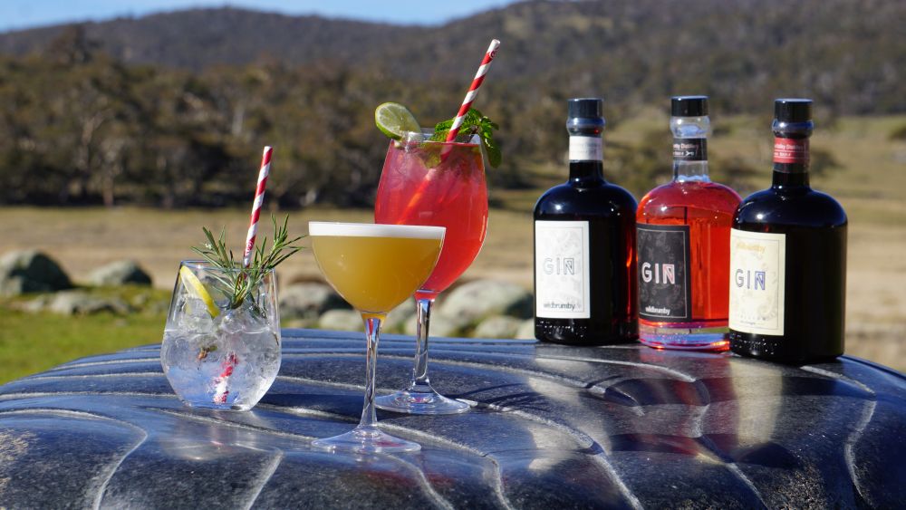 3 gin cocktails