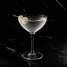 Gibson martini
