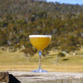 pear gin cocktail