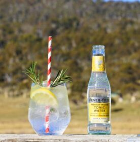 lemon twist gin cocktail