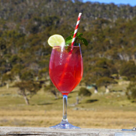 raspberry collins
