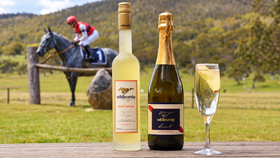 Get Schnappy This Melbourne Cup!